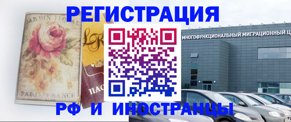 прописка законно в Борзе